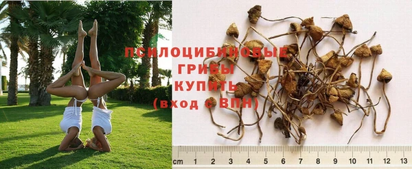 бутик Няндома
