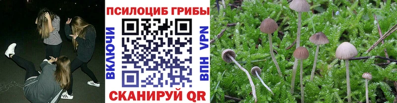 наркотики  Ревда  Псилоцибиновые грибы ЛСД 