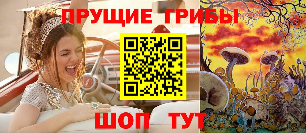 Псилоцибиновые грибы мицелий  Вход с VPN  Ревда 